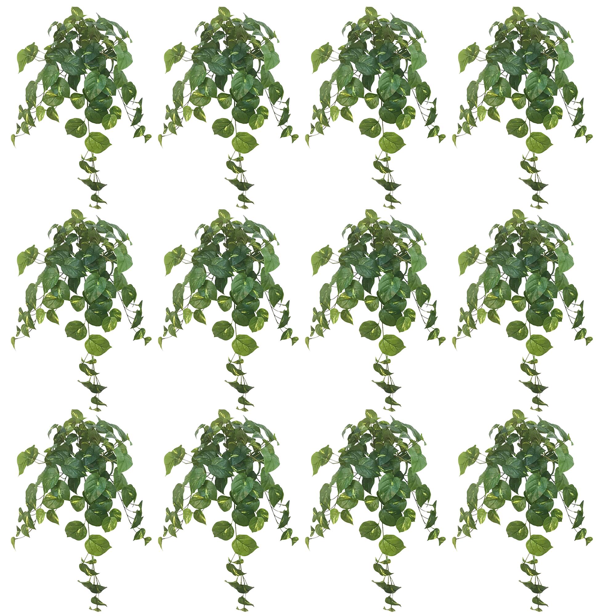12 Pack: Hanging Philo Bush by Ashland®